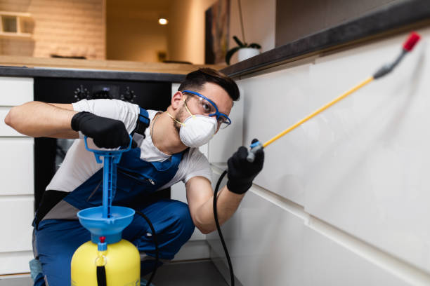 Best Local Pest Control Services  in Holiday, FL