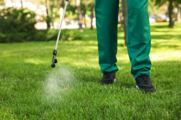 Best Exterminator Services  in Holiday, FL