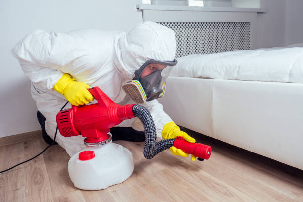 Best Best Pest Control Near Me  in Holiday, FL