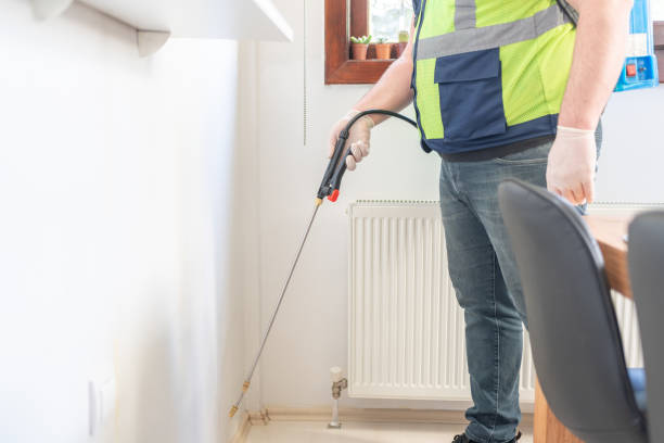 Best Local Pest Control Services  in Holiday, FL