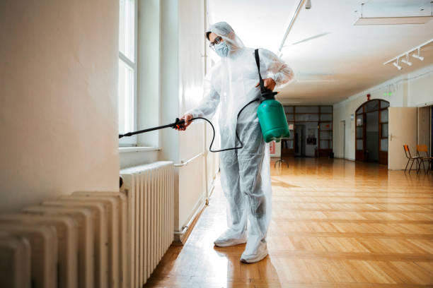 Best Wildlife Control Services  in Holiday, FL